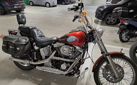 Motorrad Occasion Harley-Davidson Softail Custom FXSTC - Bild 1