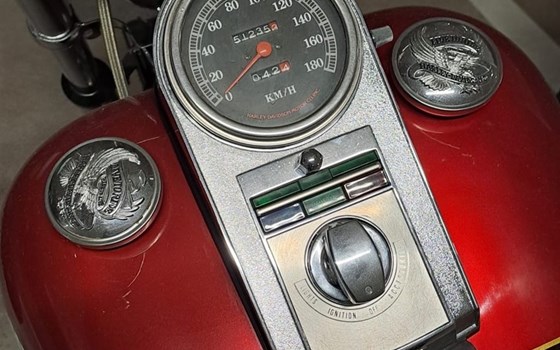 Offerta Harley-Davidson Softail Custom FXSTC - Immagine 12