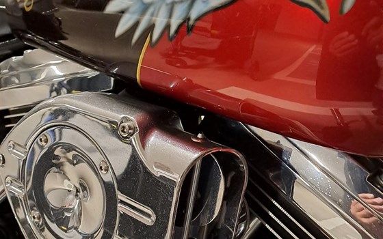 Offre Harley-Davidson Softail Custom FXSTC - Image 13