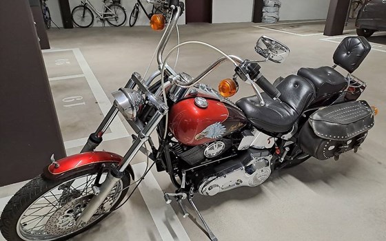 Motorrad Occasion Harley-Davidson Softail Custom FXSTC - Bild 2