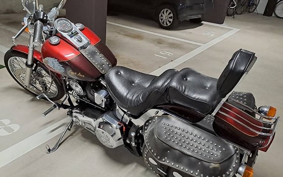 Offre Harley-Davidson Softail Custom FXSTC - Image 3