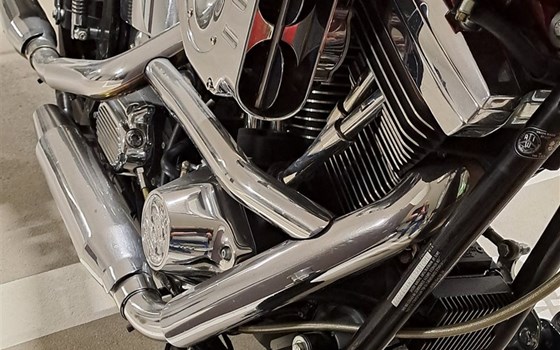 Motorrad Occasion Harley-Davidson Softail Custom FXSTC - Bild 6