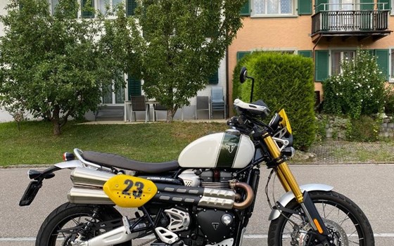 Motorrad Occasion Triumph Scrambler 1200 XE - Bild 1