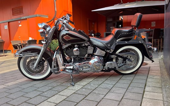 Gebrauchtmotorrad Harley-Davidson Softail Heritage Classic FLSTC - Bild 4 Gebrauchtmotorrad Harley-Davidson Softail Heritage Classic FLSTC - Bild 4