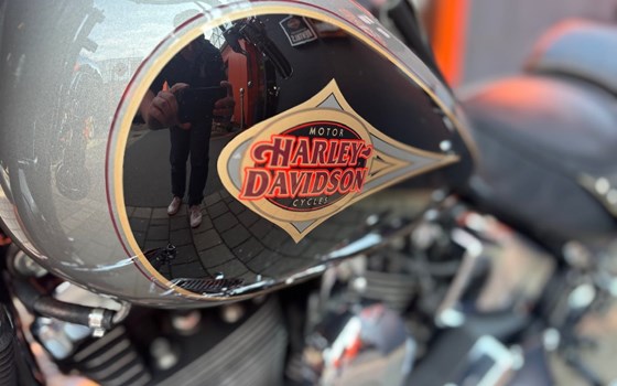Gebrauchtmotorrad Harley-Davidson Softail Heritage Classic FLSTC - Bild 6 Gebrauchtmotorrad Harley-Davidson Softail Heritage Classic FLSTC - Bild 6