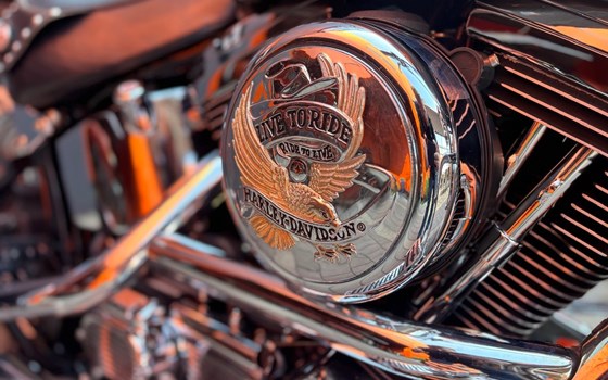 Gebrauchtmotorrad Harley-Davidson Softail Heritage Classic FLSTC - Bild 9 Gebrauchtmotorrad Harley-Davidson Softail Heritage Classic FLSTC - Bild 9