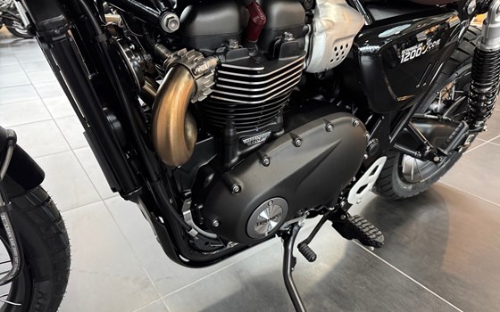 Neufahrzeug Triumph Scrambler 1200 X - Bild 9 Neufahrzeug Triumph Scrambler 1200 X - Bild 9