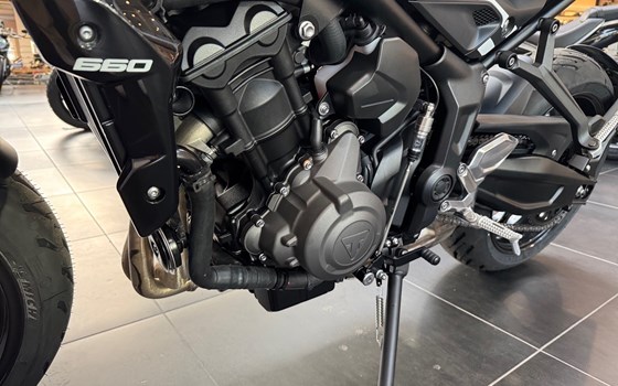 Neufahrzeug Triumph Trident 660 - Bild 9