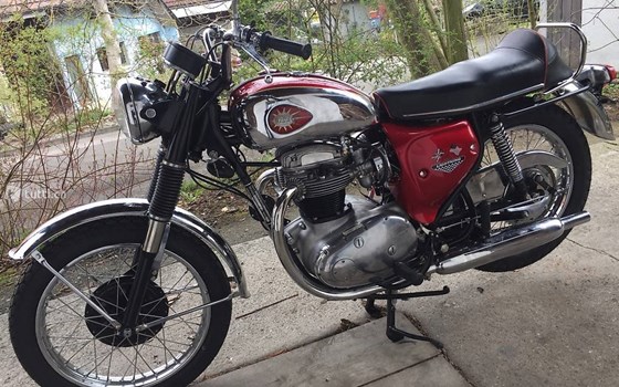 Motorrad Occasion BSA A 65 Lightning - Bild 2