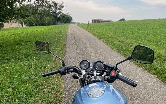 Motorrad Occasion Honda CBF 600 - Bild 2