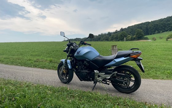 Motorrad Occasion Honda CBF 600 - Bild 3