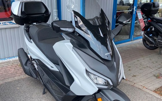 Gebrauchtmotorrad Honda Forza 125 - Bild 1