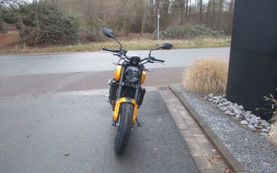 Gebrauchtmotorrad Triumph Trident 660 - Bild 4