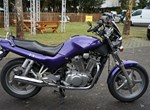 Angebot Suzuki VX 800