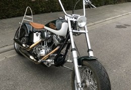 Gebrauchte Harley-Davidson Softail Custom FXSTC