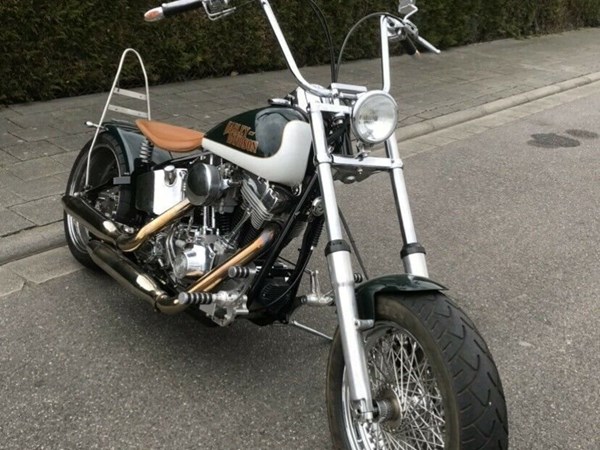 Gebrauchtmotorrad Harley-Davidson Softail Custom FXSTC