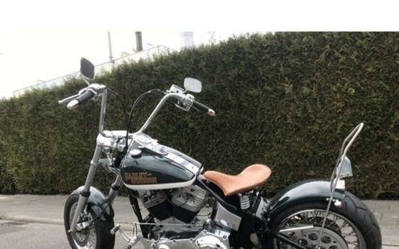Gebrauchtmotorrad Harley-Davidson Softail Custom FXSTC - Bild 3