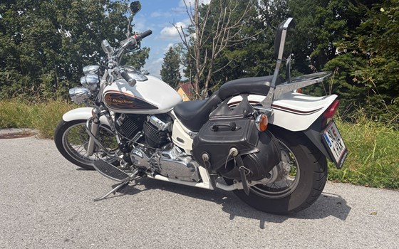Gebrauchtmotorrad Yamaha XVS 650 Drag Star - Bild 1 Gebrauchtmotorrad Yamaha XVS 650 Drag Star - Bild 1