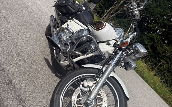 Gebrauchtmotorrad Yamaha XVS 650 Drag Star - Bild 11 Gebrauchtmotorrad Yamaha XVS 650 Drag Star - Bild 11