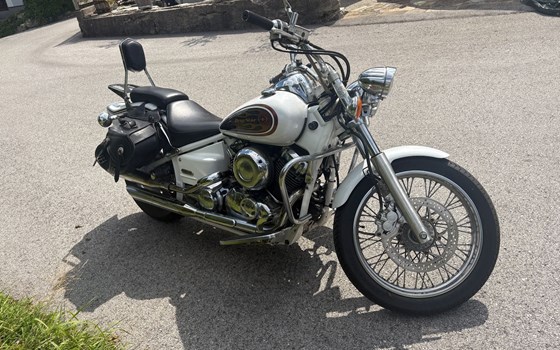 Gebrauchtmotorrad Yamaha XVS 650 Drag Star - Bild 2 Gebrauchtmotorrad Yamaha XVS 650 Drag Star - Bild 2