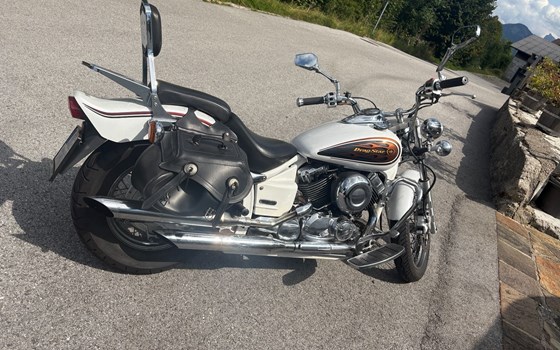 Gebrauchtmotorrad Yamaha XVS 650 Drag Star - Bild 9 Gebrauchtmotorrad Yamaha XVS 650 Drag Star - Bild 9
