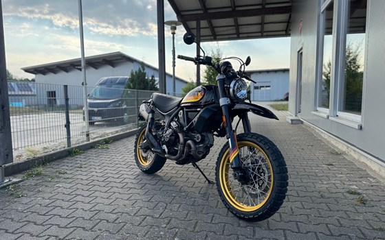 Gebrauchtmotorrad Ducati Scrambler Desert Sled - Bild 1