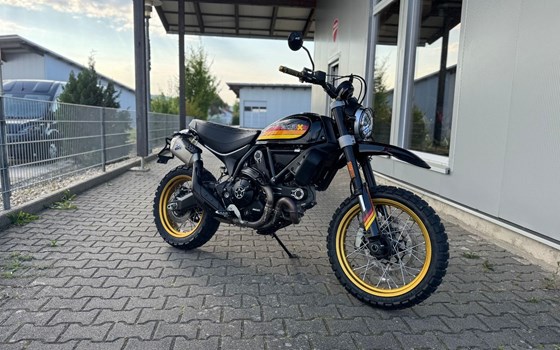 Gebrauchtmotorrad Ducati Scrambler Desert Sled - Bild 2