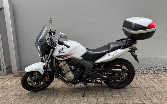 Gebrauchtmotorrad Honda CBF 600 - Bild 3