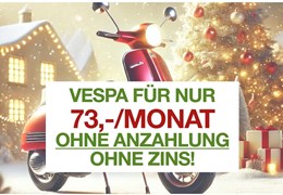 Neumotorrad Vespa Primavera 50 2T