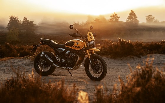 Neufahrzeug Triumph Scrambler 400 XC - Bild 10