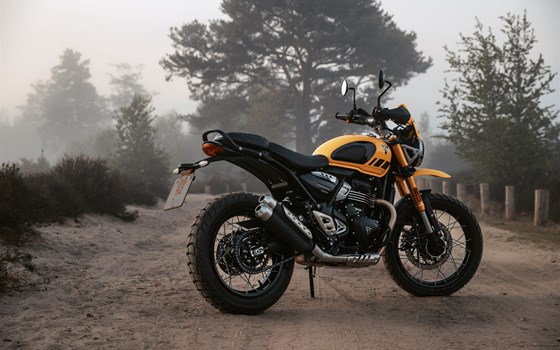 Neufahrzeug Triumph Scrambler 400 XC - Bild 13