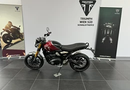 Neumotorrad Triumph Speed 400 Neumotorrad Triumph Speed 400