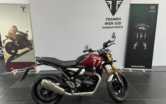 Neufahrzeug Triumph Speed 400 - Bild 2 Neufahrzeug Triumph Speed 400 - Bild 2