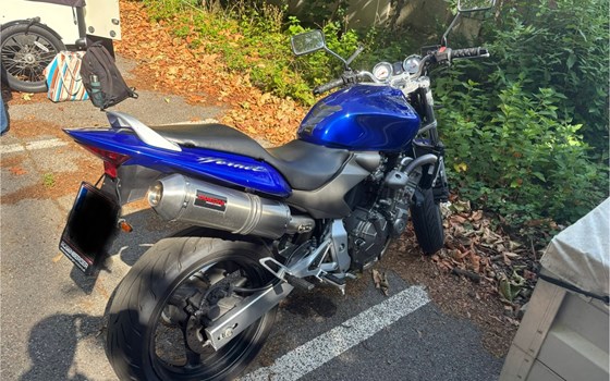 Gebrauchtmotorrad Honda CB 600 F Hornet - Bild 1 Gebrauchtmotorrad Honda CB 600 F Hornet - Bild 1