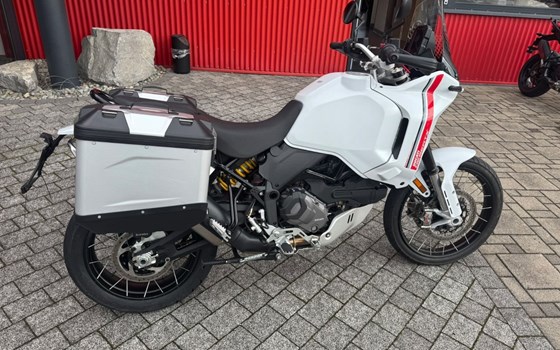 Gebrauchtmotorrad Ducati DesertX - Bild 1