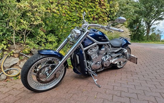 Gebrauchtmotorrad Harley-Davidson V-Rod VRSCA - Bild 10