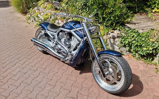 Gebrauchtmotorrad Harley-Davidson V-Rod VRSCA - Bild 16