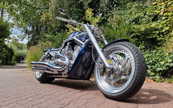 Gebrauchtmotorrad Harley-Davidson V-Rod VRSCA - Bild 18