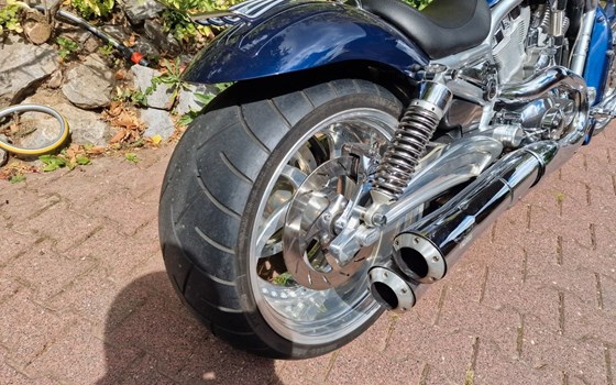 Gebrauchtmotorrad Harley-Davidson V-Rod VRSCA - Bild 2