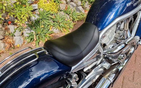 Gebrauchtmotorrad Harley-Davidson V-Rod VRSCA - Bild 3