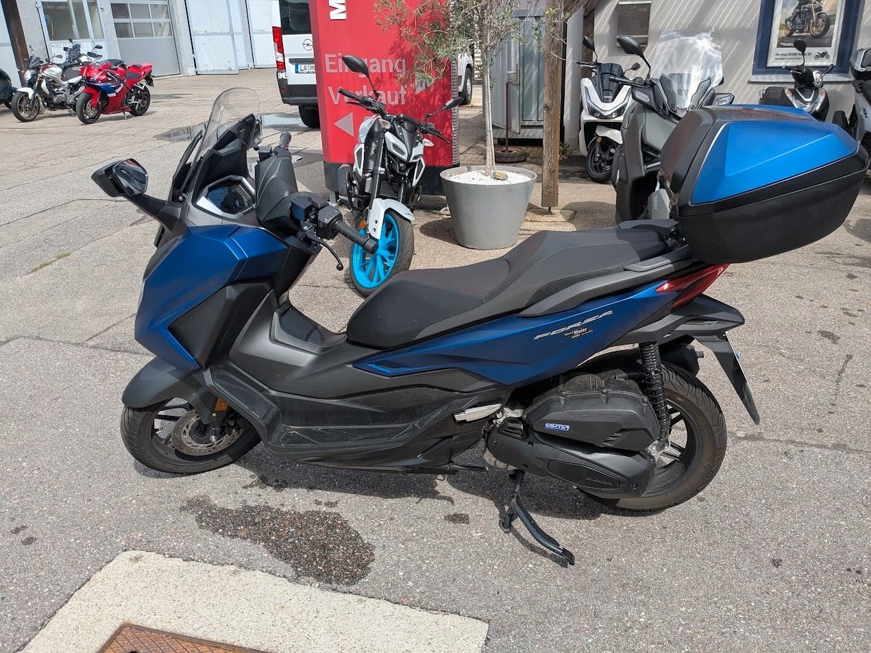 Honda Forza 125 NSS125 FORZA - VORFÜHRFAHRZEUG