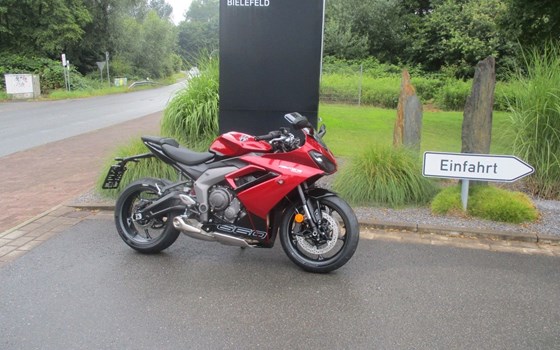 Gebrauchtmotorrad Triumph Daytona 660 - Bild 1