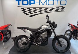 Neumotorrad Beta Alp 4.0