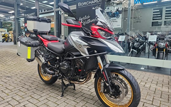 Neufahrzeug QJ Motor SRT 900 SX - Bild 1