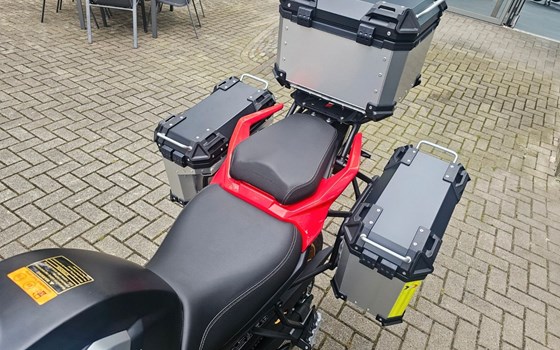 Neufahrzeug QJ Motor SRT 900 SX - Bild 16