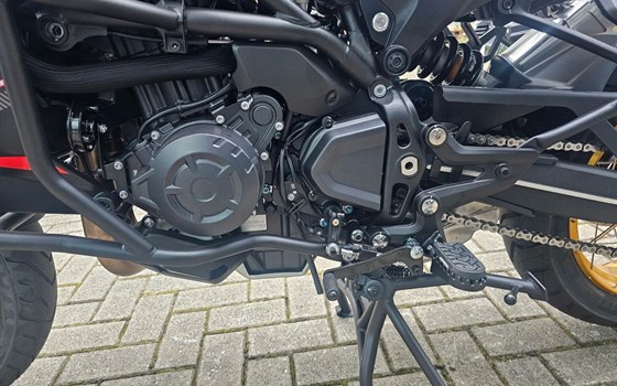 Neufahrzeug QJ Motor SRT 900 SX - Bild 17