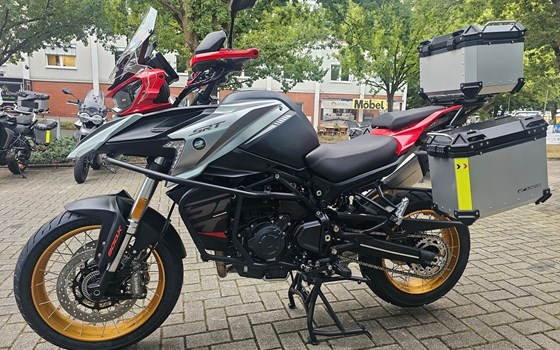 Neufahrzeug QJ Motor SRT 900 SX - Bild 3