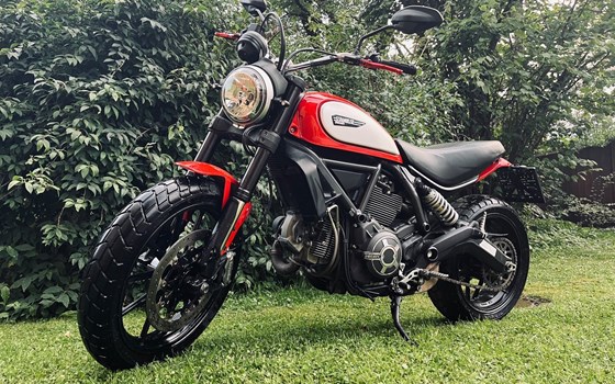 Gebrauchtmotorrad Ducati Scrambler Icon - Bild 1 Gebrauchtmotorrad Ducati Scrambler Icon - Bild 1