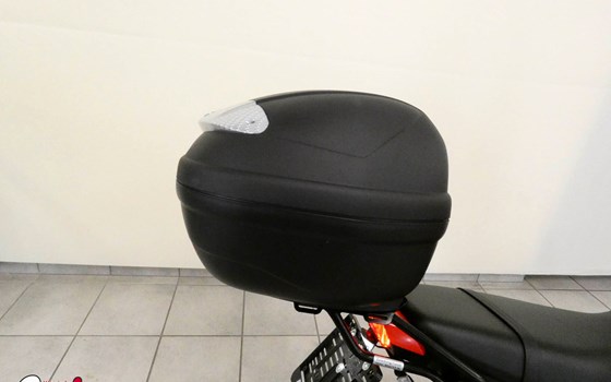 Gebrauchtmotorrad Honda MSX 125 - Bild 6 Gebrauchtmotorrad Honda MSX 125 - Bild 6