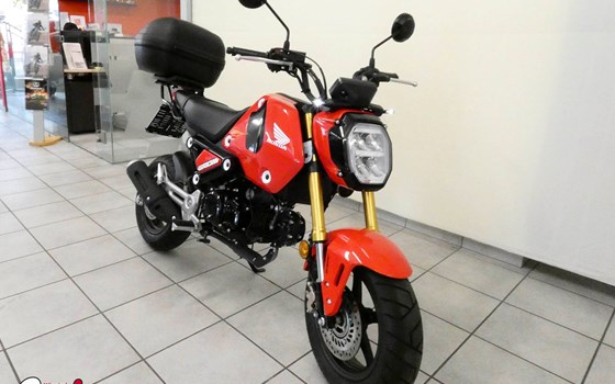 Gebrauchtmotorrad Honda MSX 125 - Bild 1 Gebrauchtmotorrad Honda MSX 125 - Bild 1